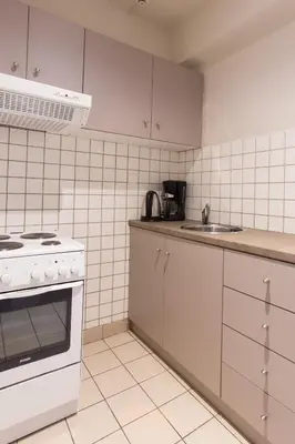a white kitchen with a stove and a sink at Delice Hotel - Family Apartments in Athens