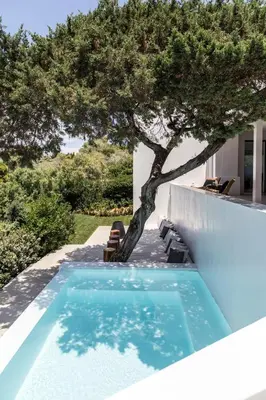 a swimming pool with a tree next to a house at Greece Dream Holidays Villas 1 in Athens