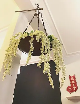 a hanging arrangement of flowers on a ceiling at Cosy Central Apartment in Plaka in Athens