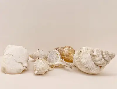 two snails are sitting next to each other at Ablaze Luxury Athens in Glyka Nera