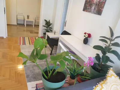 a living room with potted plants on a couch at Lavender-Ryan spacious apartment for live and work in heart of Athens in Athens