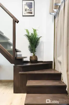 a potted plant sitting on the stairs of a house at CityLiv Concept in Athens