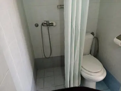 a bathroom with a toilet and a shower at Elite Hotel in Athens