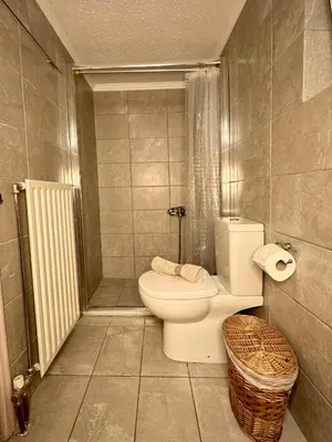a bathroom with a toilet and a shower at Urban lodge Agios Dimitrios in Athens