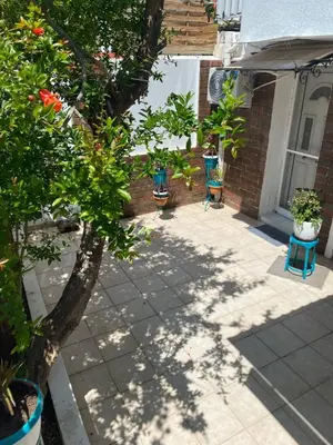 a patio with plants and a tree in a house at George's Apartment in Athens