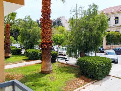 a palm tree with decorations on it in a park at Athens White House in Athens