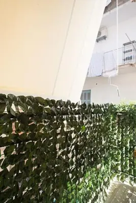a plant is growing on the side of a building at A comfortable small studio nearby Acropolis 201 in Athens