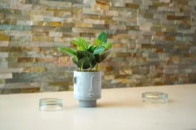 a vase with a plant in it sitting on a table at Sea Breeze Beachfront Apartment VIPGreece in Athens