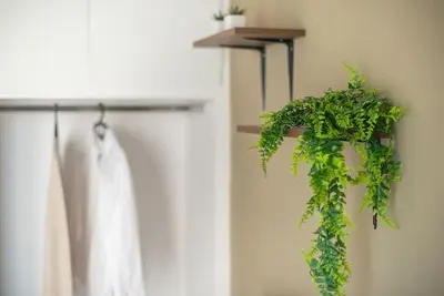 a green plant hanging from a rack in a bathroom at Athens Oasis with enchanting green hill views in Athens