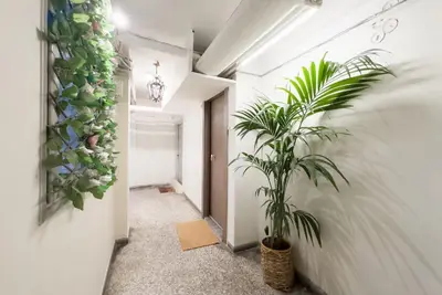 a hallway with a plant in a room at Elegant Athens Downtown Studio in Athens