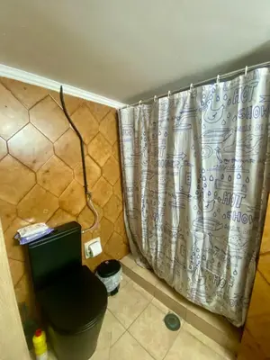 a bathroom with a shower curtain and a toilet at Sweety Flat Marina Zeas Piraeus in Piraeus
