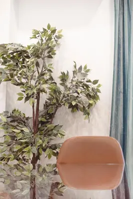 a plant next to a chair in a room at Mary's Haven Apt near metro station and Acropolis in Athens