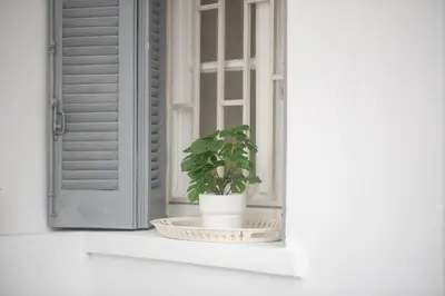 a potted plant sitting on a window sill at Bright & Cozy House near Beach in Athens
