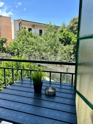 a wooden deck with a plant on a balcony at Seaside Escape Apartments - Poseidon in Palaiá Fókaia