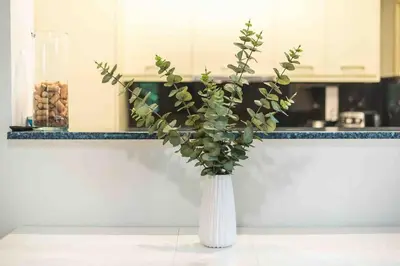 a white vase with a plant in it at Home In The Alimos Marina in Athens