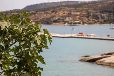 a view of a body of water with a bridge at Sea La Vie in Agia Marina Aegina