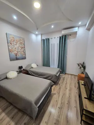 a room with two beds and a tv in it at Cozzy double bedroom Apartment in Athens