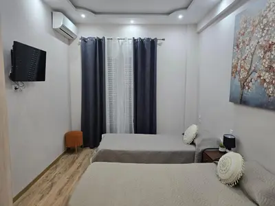 a room with two twin beds and a tv at Cozzy double bedroom Apartment in Athens