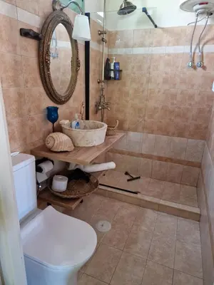 a bathroom with a shower and a toilet and a sink at St'Georges garden house in Palaiá Fókaia