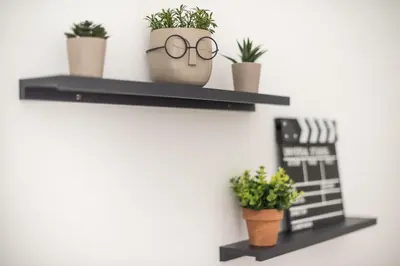 a shelf with glasses and plants on a wall at Cozy Central Gem In Athens 2 min from metro in Athens