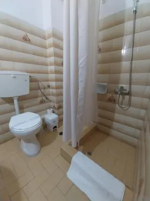 a bathroom with a toilet and a shower at Hotel Liliana in Agia Marina Aegina