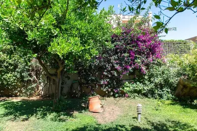 a garden with a tree and purple flowers at The Holiday Place in Voula for 4 by Filos Inc in Athens