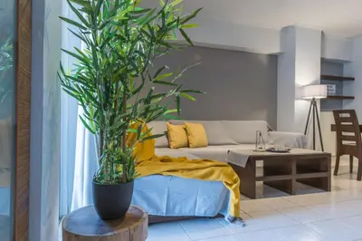 a living room with a couch and a potted plant at Raise Piraeus Harbor Flats in Piraeus