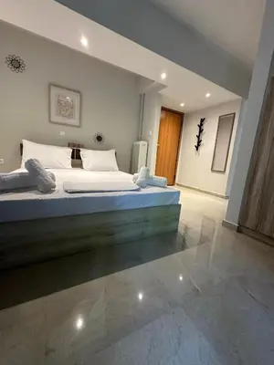 a bedroom with a large bed in a room at Just For Two in Athens