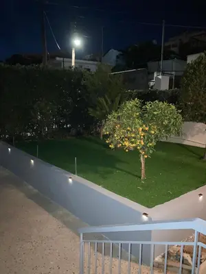 a small tree on the lawn at night at Billy & Andrianna Villa Lagonisi in Kalívia Thorikoú