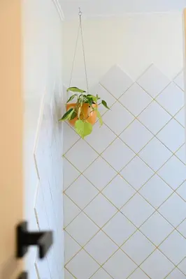 a potted plant hanging from a wall at Stylish and spacious apartment in cool area in Athens