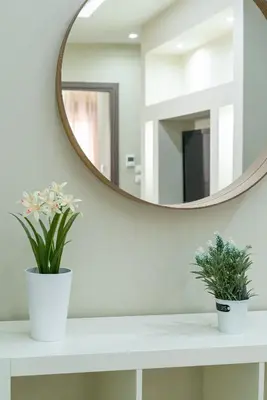 a bathroom with a mirror and two plants on a counter at Filoxenia MG projects Alimos in Athens