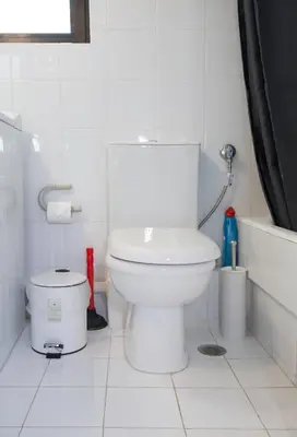a white bathroom with a toilet and a shower at Lovely Cosy Apartment In Papagos in Athens