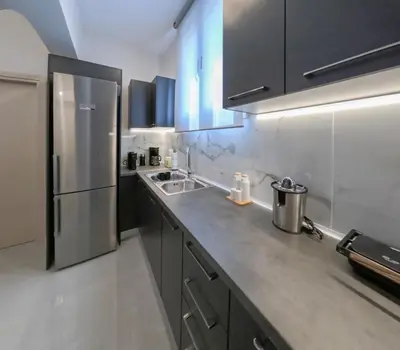 a kitchen with a stainless steel refrigerator and a sink at Katia Athens Apartment in Athens