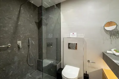 a bathroom with a shower and a toilet at Athensis Acropolis View next to Ermou street! in Athens