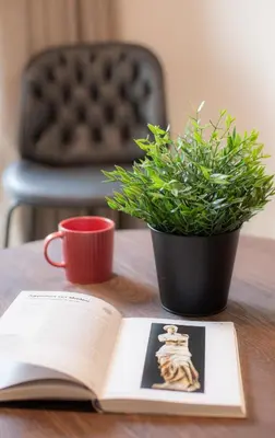 a book on a table with a plant and a cup at The Meta Stay - Backyard Oasis with Rooftop Access in Athens