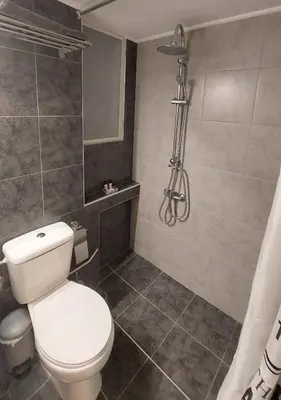 a bathroom with a toilet and a shower at Miranda's Apartment Koukaki in Athens