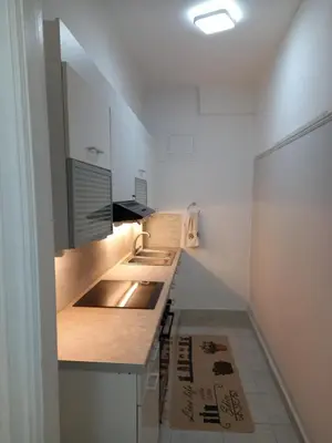a kitchen with a counter with sinks and a refrigerator at Underground treasure in Athens