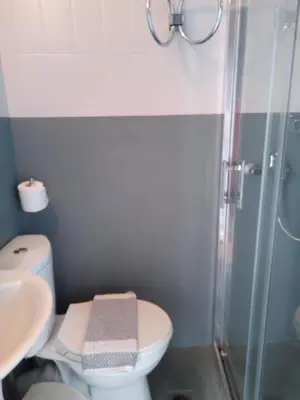 a bathroom with a shower and a toilet and a sink at Zappion Hotel in Athens