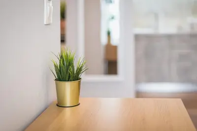 a potted plant sitting on top of a wooden table at Top Ten Apartment 4 in Athens