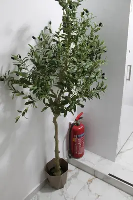 a plant in a pot next to a fire extinguisher at Syntagma Luxury Suites by CK-3 in Athens
