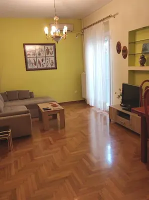 a living room with a couch and a tv at Cozy and spacious 2 BDR Apt 15 min from the city center in Athens