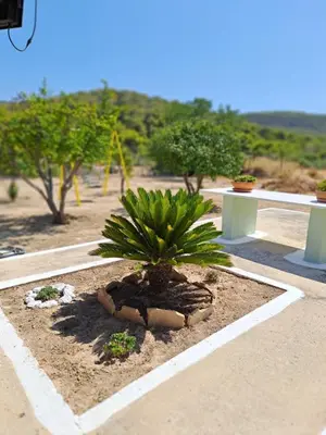 a potted plant in a planter on a patio at Kathrine's Cottage in Vagia in Vaia