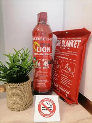 a bottle of bleach next to a box and a plant at Viktoria's garden home in Athens