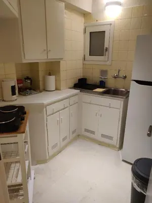 a kitchen with white cabinets and a sink and a refrigerator at Pagkrati Apartment 80 in Athens