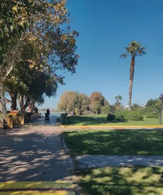 a park with a palm tree and a person riding a bike at Welcome to Voula in Athens