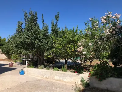a group of trees with flowers in a garden at Seaview penthouse by the beach in Kalívia Thorikoú