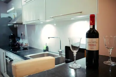a bottle of wine and two glasses on a kitchen counter at Mary's Apartment, Athens Zografou in Athens