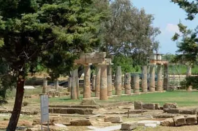 a group of columns in a field with a tree at Country house for4 in Markopoulo