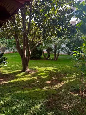 a green yard with trees and green grass at luxury house airport in Koropíon