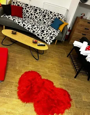 a living room with a red rug on the floor at NEW COSY HOME KYPSELI ATHENS heart! in Athens